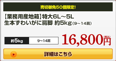 【業務用産地箱】特大6L~5L生本ずわいがに肩脚 約5kg(9~14肩)