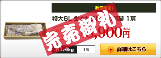 特大6L 生本たらばがに肩脚 1肩