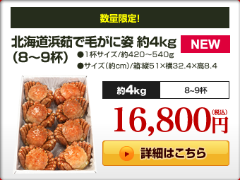 北海道浜茹で毛がに姿 約4kg(8〜9杯)