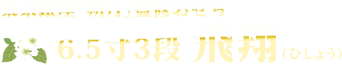 東京銀座「朔月」監修おせち 6.5寸3段 飛翔（ひしょう）