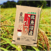 農産物