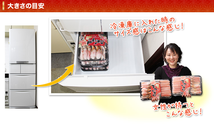 大きさの目安