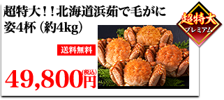 超特大！！北海道浜茹で毛がに 姿4kg超（4杯）送料無料 通常45,000円(税込）→39,800円（税込）