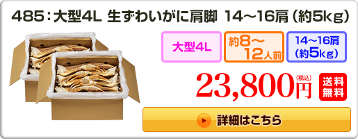 485：大型4L 生ずわいがに肩脚 14〜16肩（約5kg） 23,800円（税込）送料無料