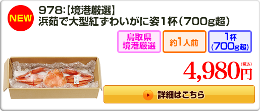 978：【境港厳選】浜茹で大型紅ずわいがに姿1杯(700g超)