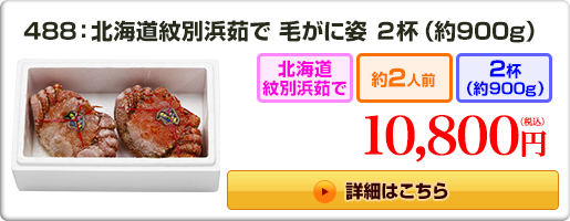 488：北海道紋別浜茹で 毛がに姿 ２杯（約900g）10,800円（税込）