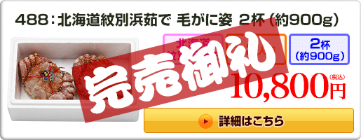 488：北海道紋別浜茹で 毛がに姿 ２杯（約900g）10,800円（税込）