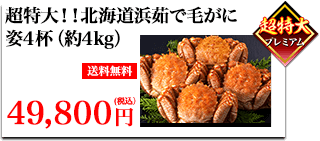 超特大！！北海道浜茹で毛がに 姿4杯（約4kg）送料無料 49,800円（税込）