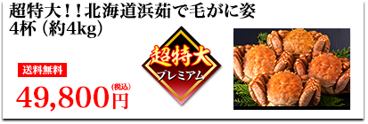 超特大！！北海道浜茹で毛がに 姿4杯（約4kg）送料無料 49,800円（税込）