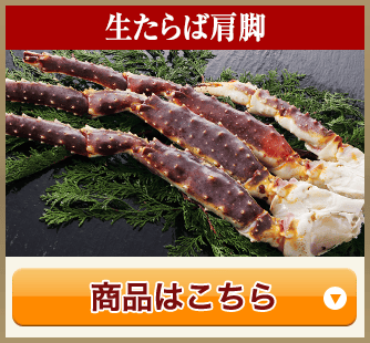 生たらば肩脚