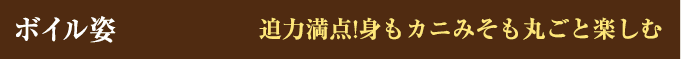 ボイル姿 迫力満点!身もカニみそも丸ごと楽しむ