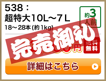 538：超特大10L～7Ｌ 18～28本(約1kg) 約3人前 12,900円(税込) 送料無料