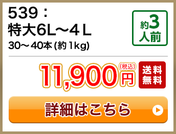 539：特大6L～4Ｌ 30～40本(約1kg) 約3人前 11,900円(税込) 送料無料
