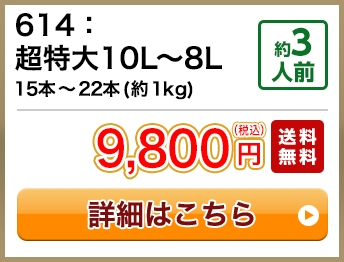 614：超特大10L～8L 15本～22本(約1kg) 約3人前 9,800円(税込) 送料無料