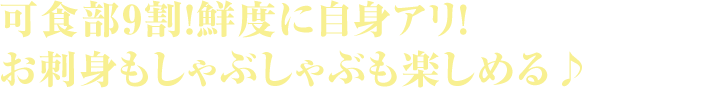 可食部9割！鮮度に自身アリ！お刺身もしゃぶしゃぶも楽しめる♪