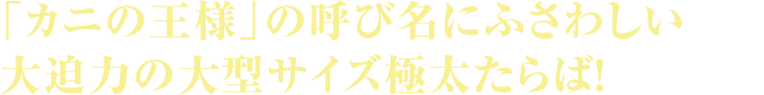 「カニの王様」の呼び名にふさわしい大迫力の大型サイズ極太たらば！