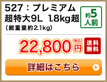 527：プレミアム超特大9L 1.8kg超（総重量約2.1kg） 約5人前 セール 15,800円(税込) 送料無料