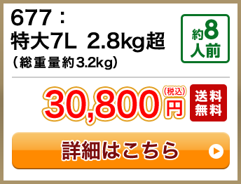 677：特大7L 2.8kg超（総重量約3.2kg） 約8人前 セール 20,800円(税込) 送料無料