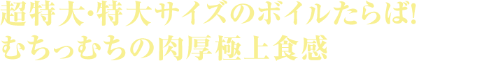 超特大・特大サイズのボイルたらば！むちっむちの肉厚極上食感
