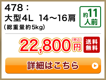 478：大型4L 14～16肩（総重量約5kg） 約11人前 22,800円(税込) 送料無料