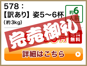 578：【訳あり】姿5～6杯（約3kg） 約6人前 16,800円(税込) 送料無料