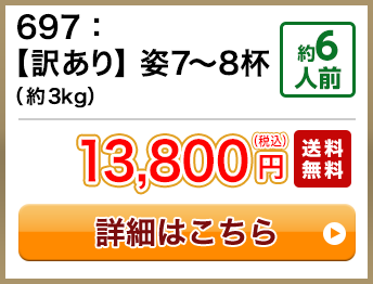 697：【訳あり】姿7～8杯（約3kg） 約6人前 13,800円(税込) 送料無料