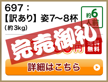 697：【訳あり】姿7～8杯（約3kg） 約6人前 13,800円(税込) 送料無料