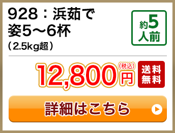 928：浜茹で姿5～6杯（2.5kg超） 約5人前 12,800円(税込) 送料無料