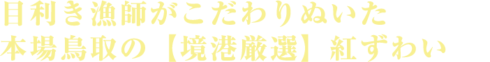 目利き漁師がこだわりぬいた本場鳥取の【境港厳選】紅ずわい