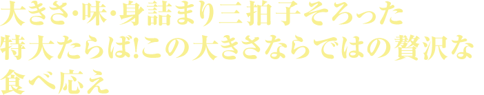 大きさ・味・身詰まり三拍子そろった特大たらば！この大きさならではの贅沢な食べ応え