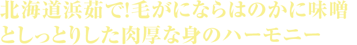 北海道浜茹で！毛がにならはのかに味噌としっとりした肉厚な身のハーモニー