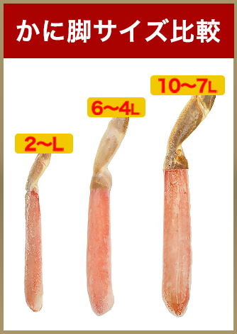 かに脚サイズ比較