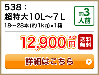 538：超特大10L～7Ｌ 18～28本(約1kg)×1箱 約3人前 12,900円(税込) 送料無料