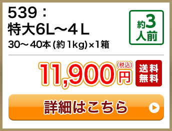 539：特大6L～4Ｌ 30～40本(約1kg)×1箱 約3人前 11,900円(税込) 送料無料