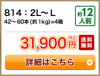 814：2L～Ｌ 42～60本(約1kg)×4箱 約12人前 31,900円(税込) 送料無料