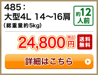 485：大型4L 12～16肩（総重量約5kg） 約12人前 24,800円(税込) 送料無料