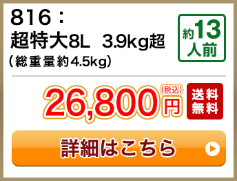 816：超特大8L 3.9kg超（総重量約4.5kg） 約13人前 26,800円(税込) 送料無料