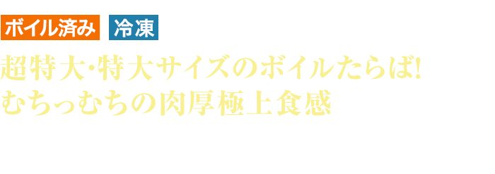 ボイル済 冷凍 超特大・特大サイズのボイルたらば！むちっむちの肉厚極上食感 ブリンブリンの肉厚食感で極太の脚肉を口いっぱいに頬張る幸福感がたまりません！ボイル済み、半むき身カット済み♪