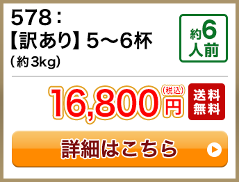 578：【訳あり】5～6杯（約3kg） 約6人前 16,800円(税込) 送料無料