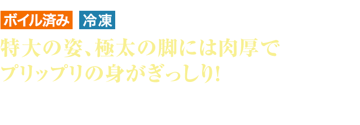 ボイル済 冷凍 特大の姿、極太の脚には肉厚でプリップリの身がぎっしり！ 熟練の職人による茹で上げは、鮮度と旨味を殻の下に逃さず閉じ込めてさらに肉厚でジューシーに♪