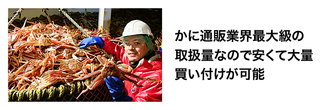 かに通販業界最大級の取扱量なので安くて大量買い付けが可能