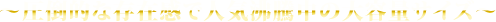 ～圧倒的な存在感で人気沸騰中の大容量サイズ～