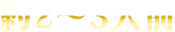 約2〜3人前