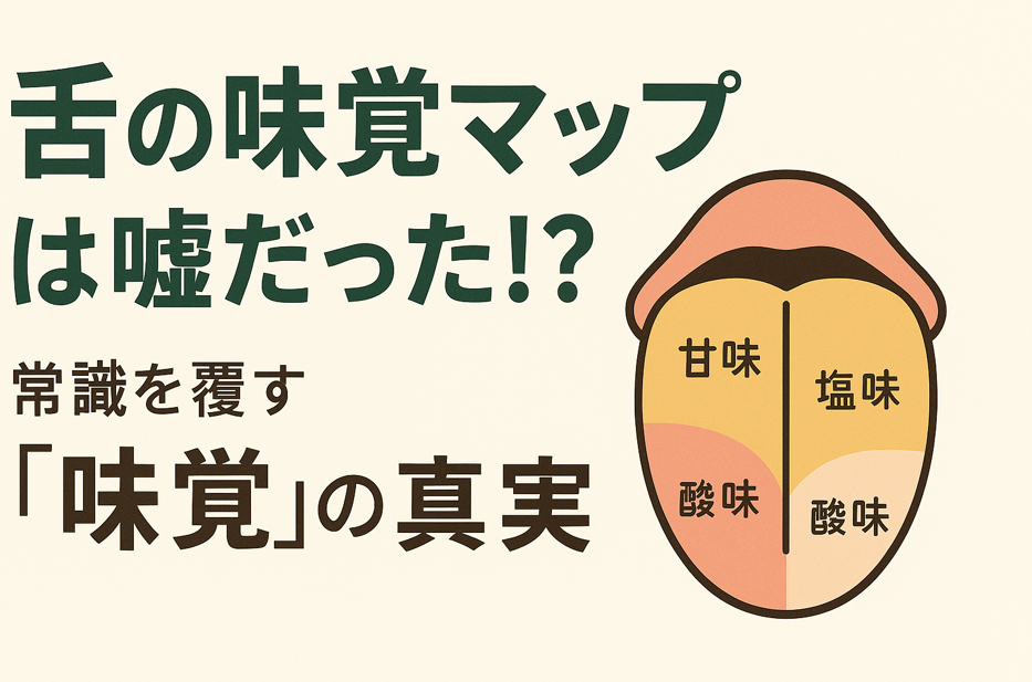 舌の味覚マップは実は嘘だった！？「味覚」の真実 -匠本舗情報局【たくじょー！】