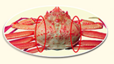 トゲズワイガニのイメージ