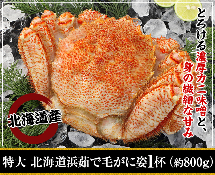 北海道浜茹で毛がに
