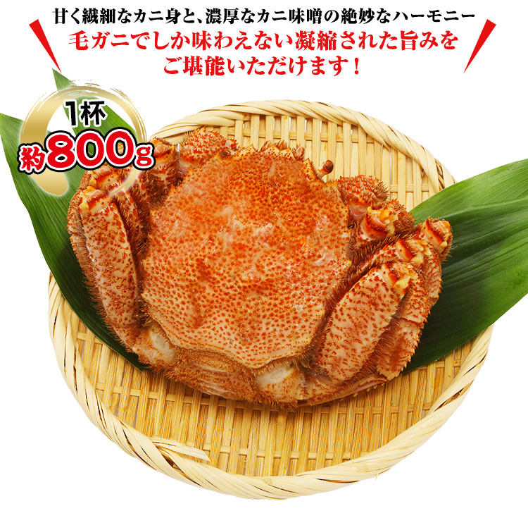 特大毛がにの内容