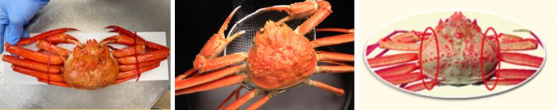ズワイガニの比較