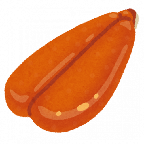 黄金色のからすみ