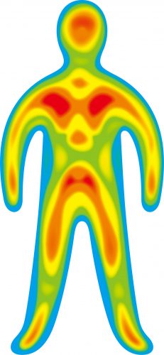 布団から足を出して寝ている様子